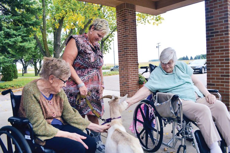Pets with a purpose
